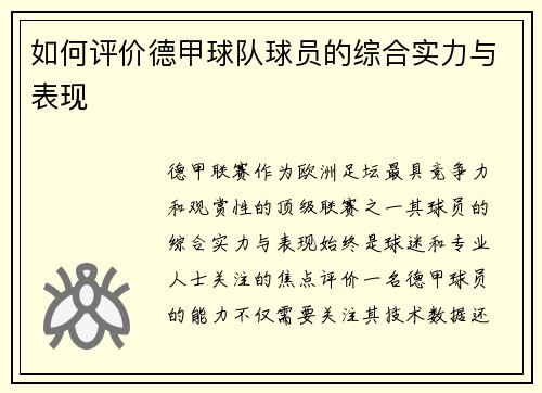 如何评价德甲球队球员的综合实力与表现