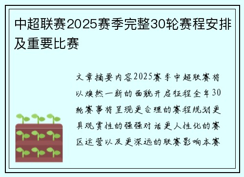 中超联赛2025赛季完整30轮赛程安排及重要比赛